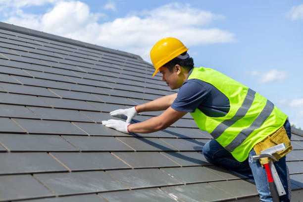 Best Roof Replacement Cost  in Warren, MN