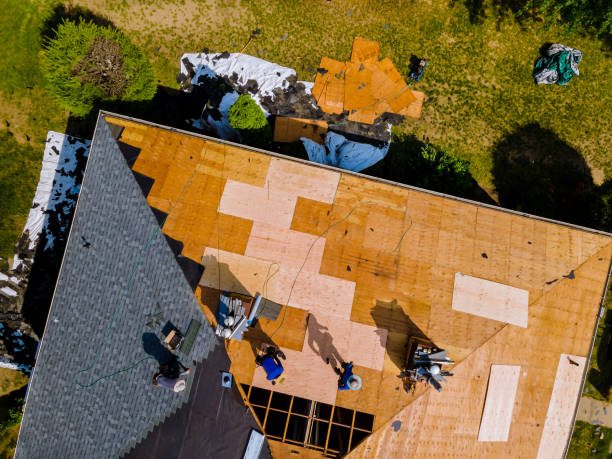 Best Commercial Roofing Services  in Warren, MN